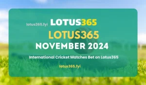 Read more about the article November 2024 Cricket Calendar: Top Matches and Betting Picks on Lotus365 India